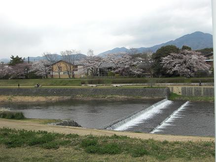 kamogawa.JPG